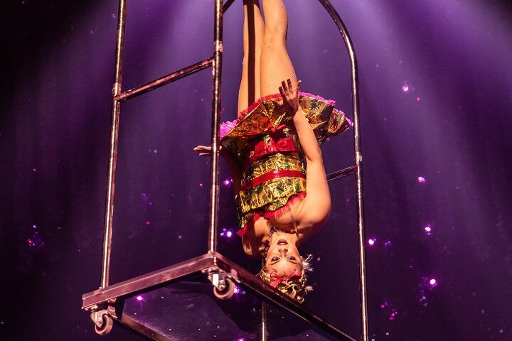 A performer hangs upside down on a metal apparatus, wearing a colorful costume. Purple stage lighting.
