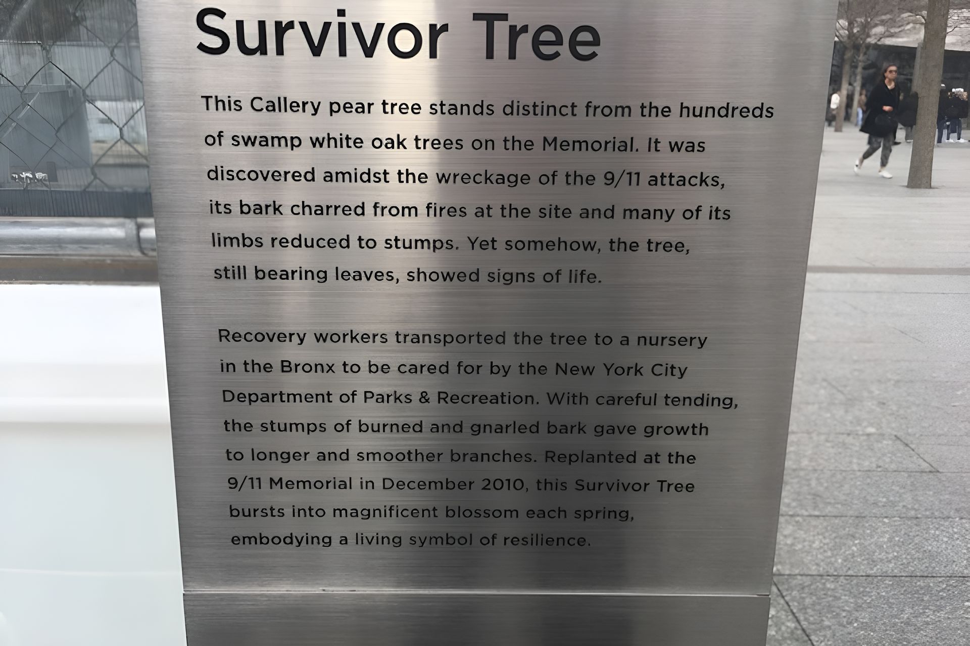 Plaque for the Survivor Tree at the 9/11 Memorial. Text on metal describes the tree's history and resilience.