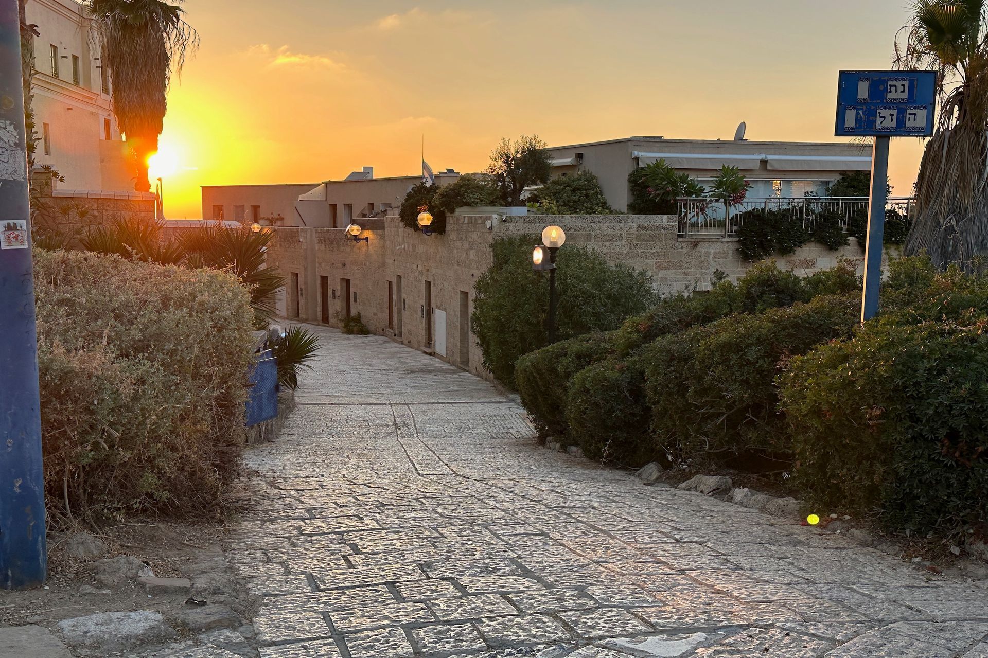Cobblestone street lined with buildings, green bushes, and a sunset sky.