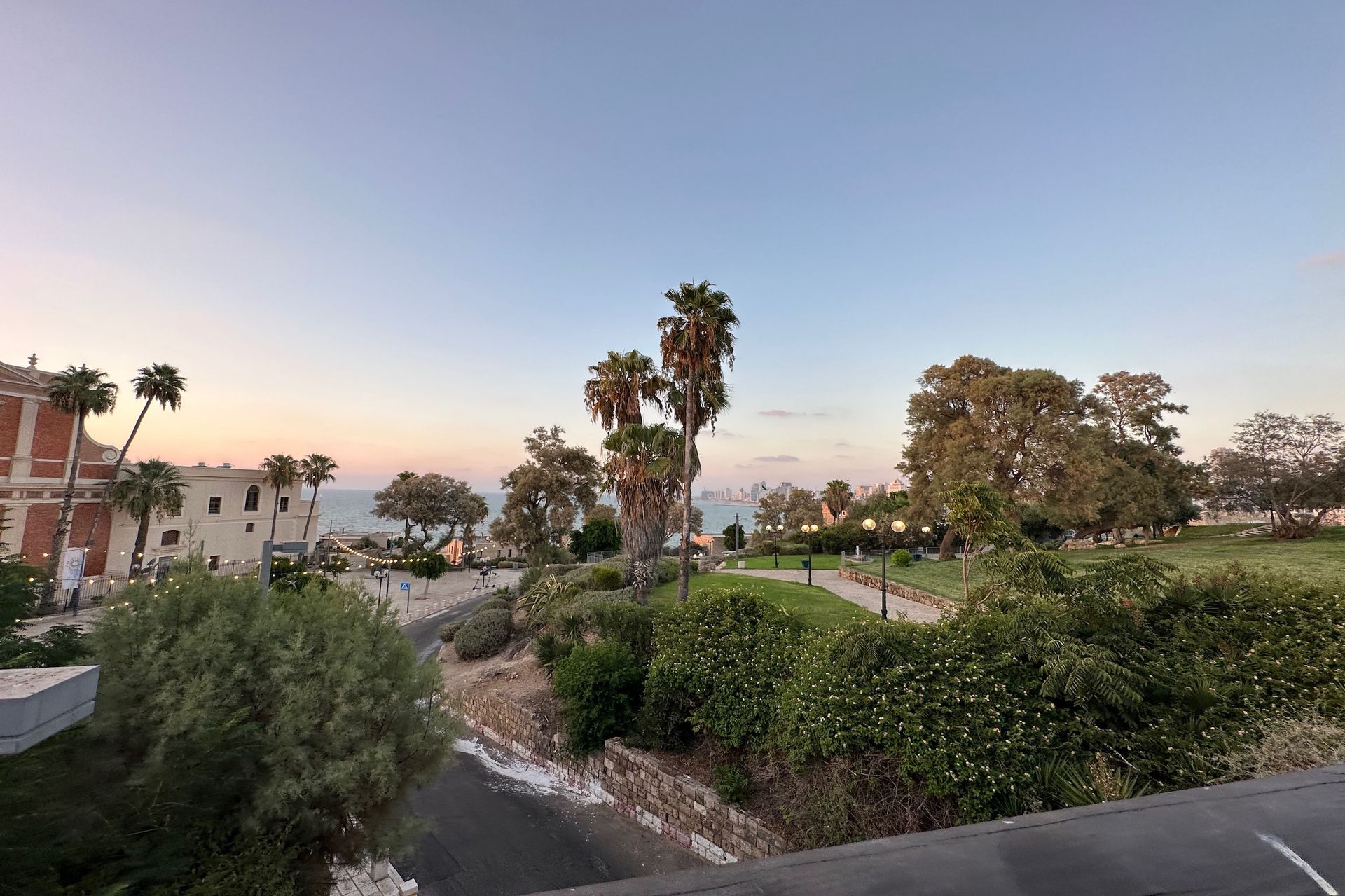 Park with palm trees and buildings, overlooking the sea at dusk.