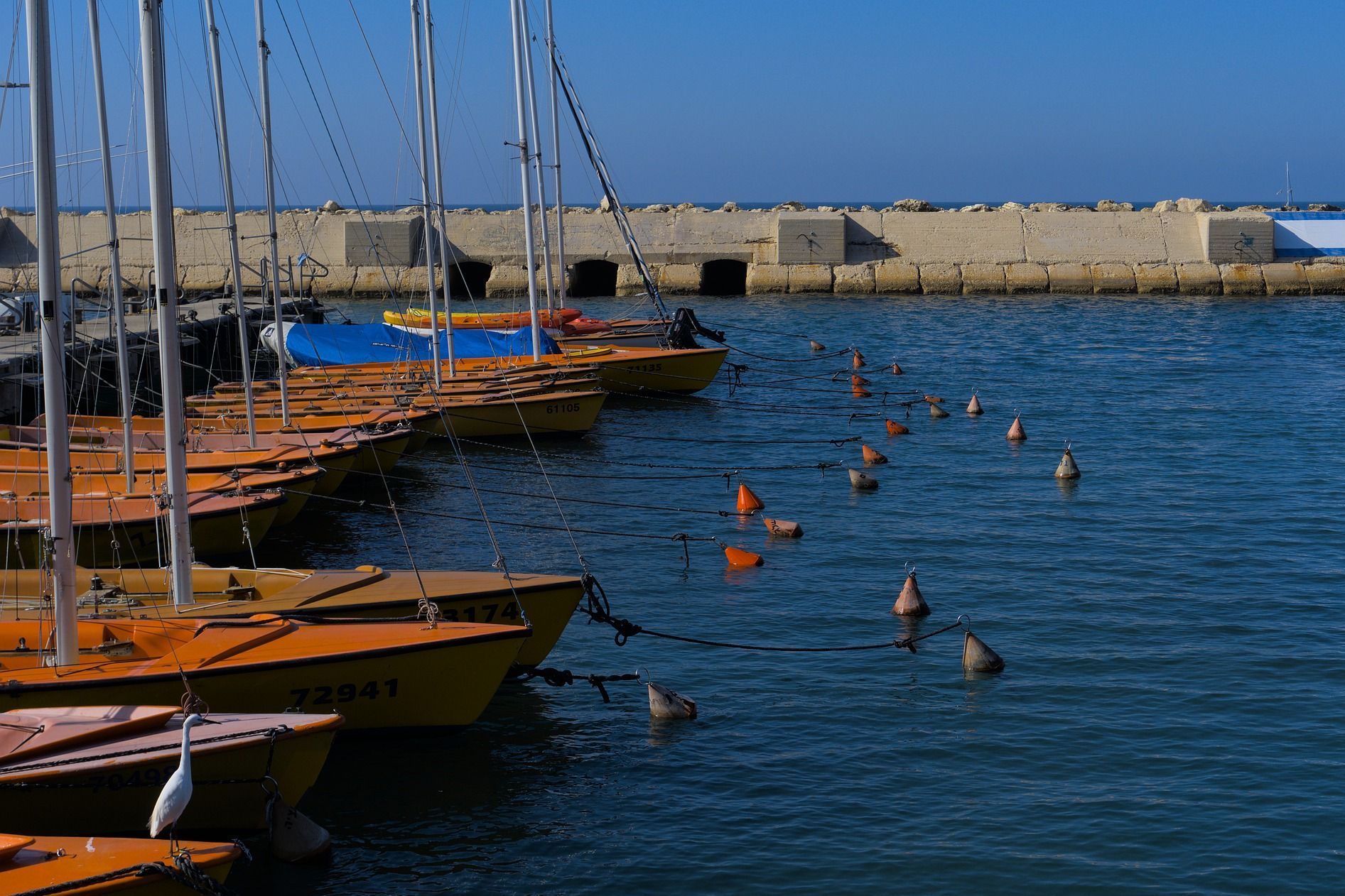 Row of orange sailboats docked at a harbor, blue water, stone wall in the background.