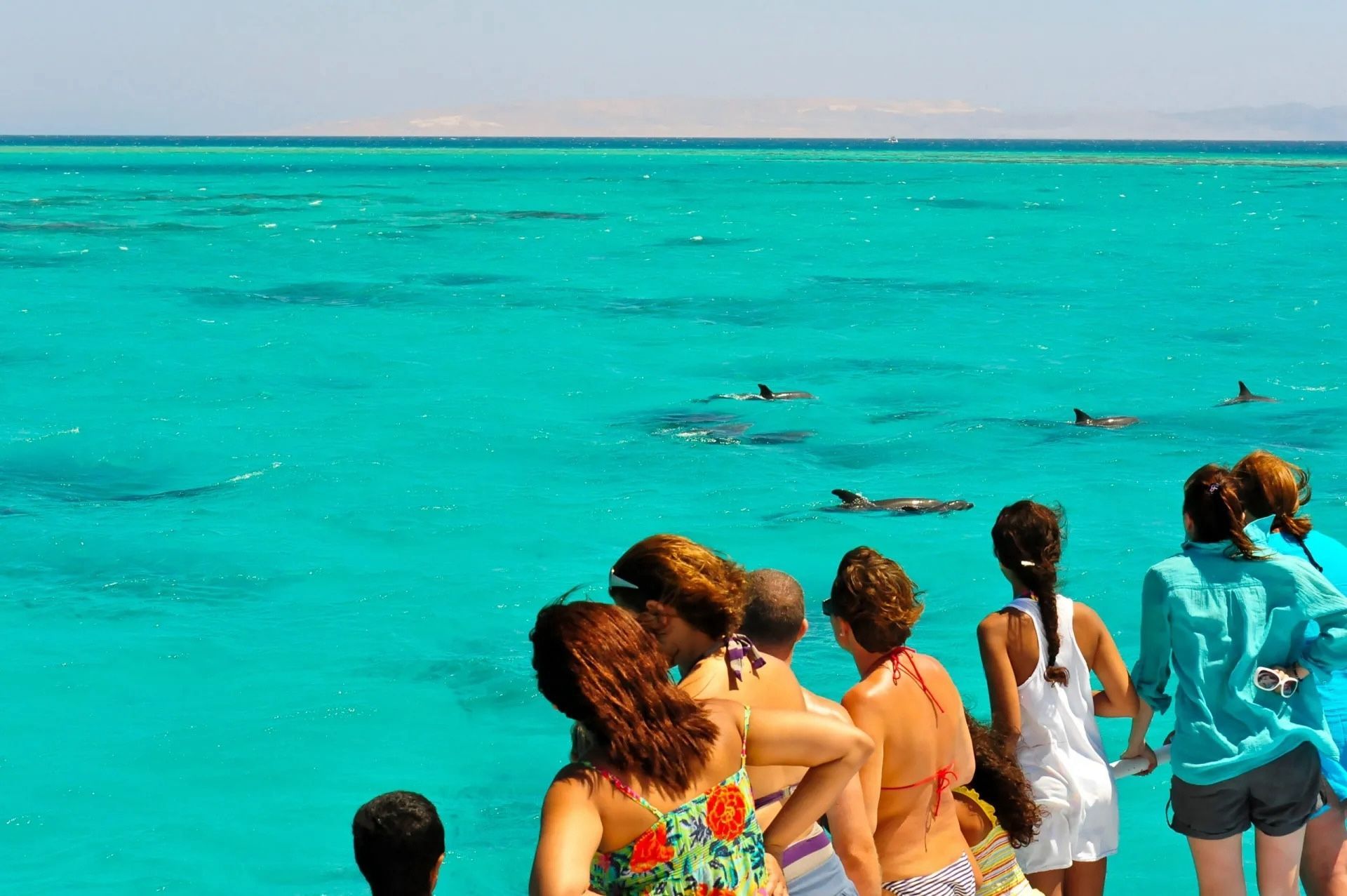 People on a boat watch dolphins swim in vibrant turquoise water.