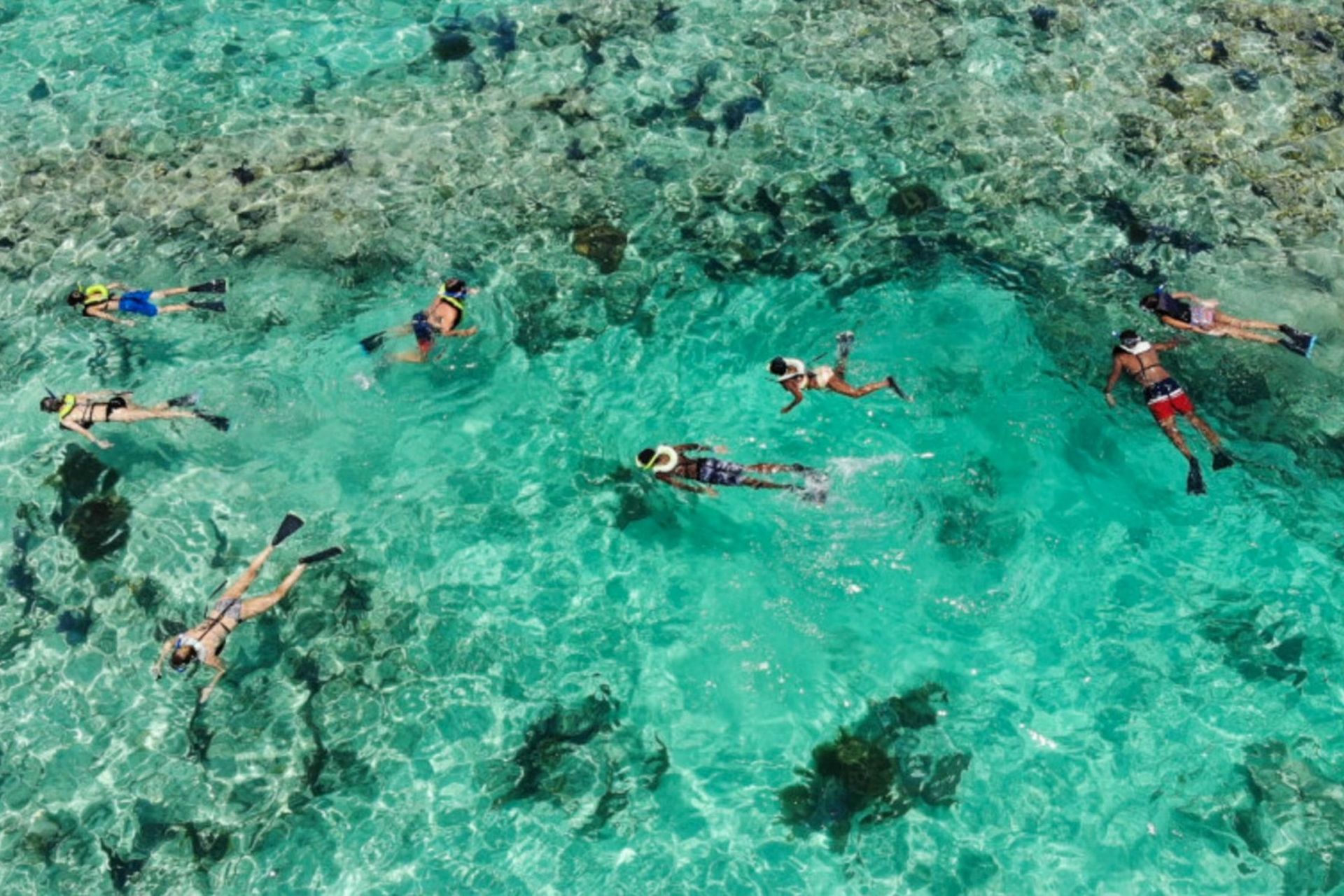 People snorkeling in clear turquoise water near a coral reef.