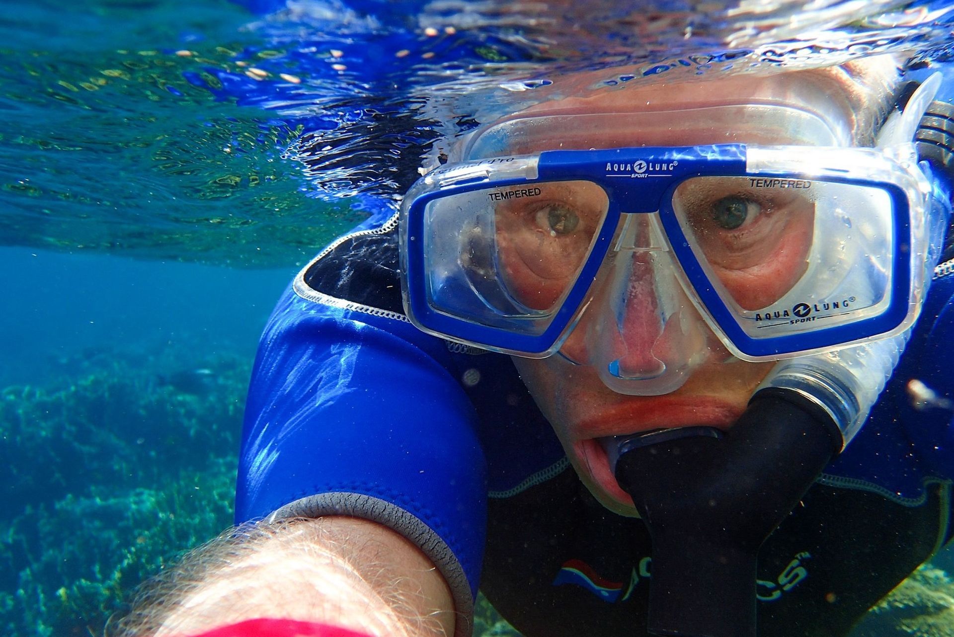 Person snorkeling underwater wearing a blue and white mask and wetsuit; looking directly at the camera.