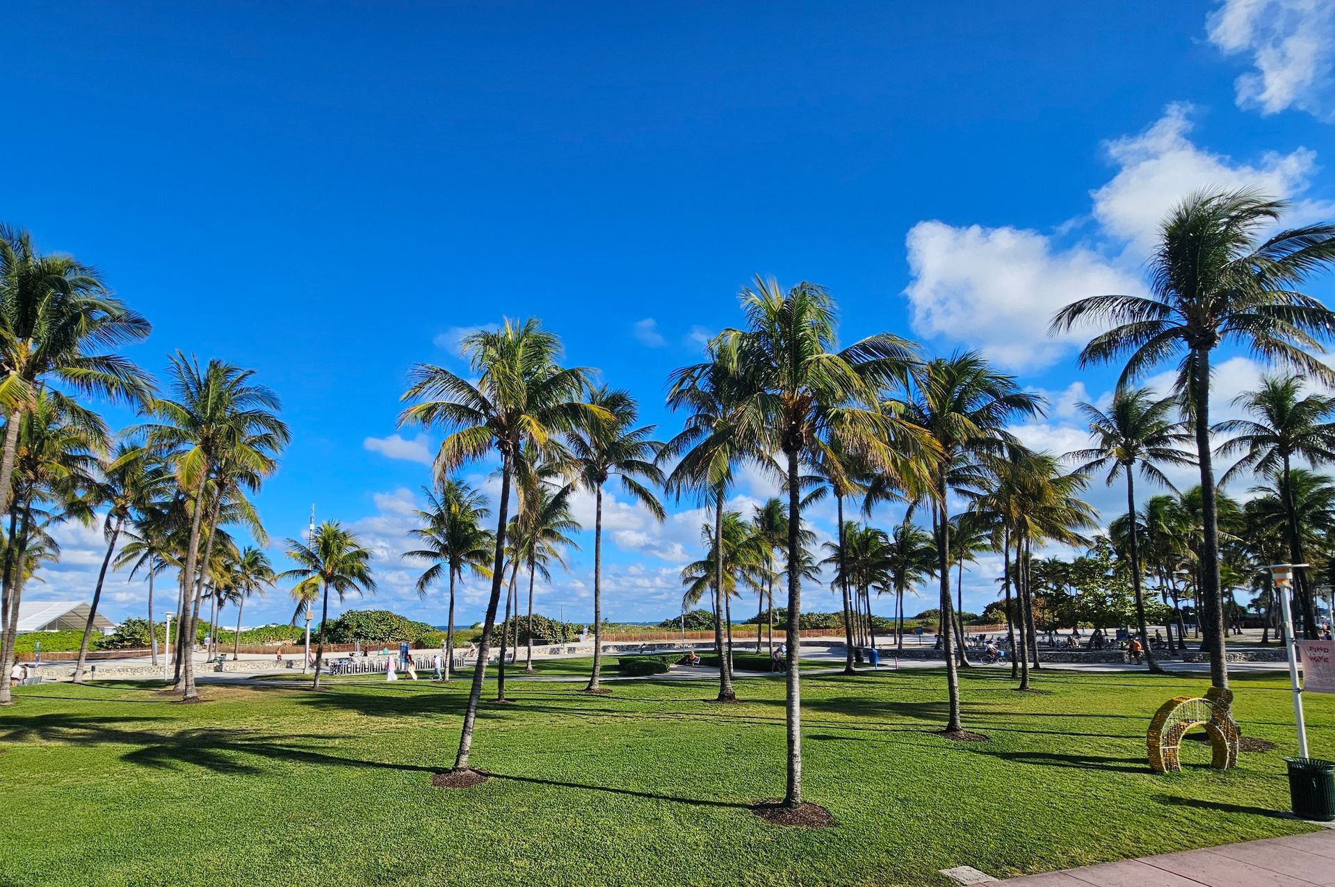 Palm trees on a green lawn under a bright blue sky, people in the background, Miami.