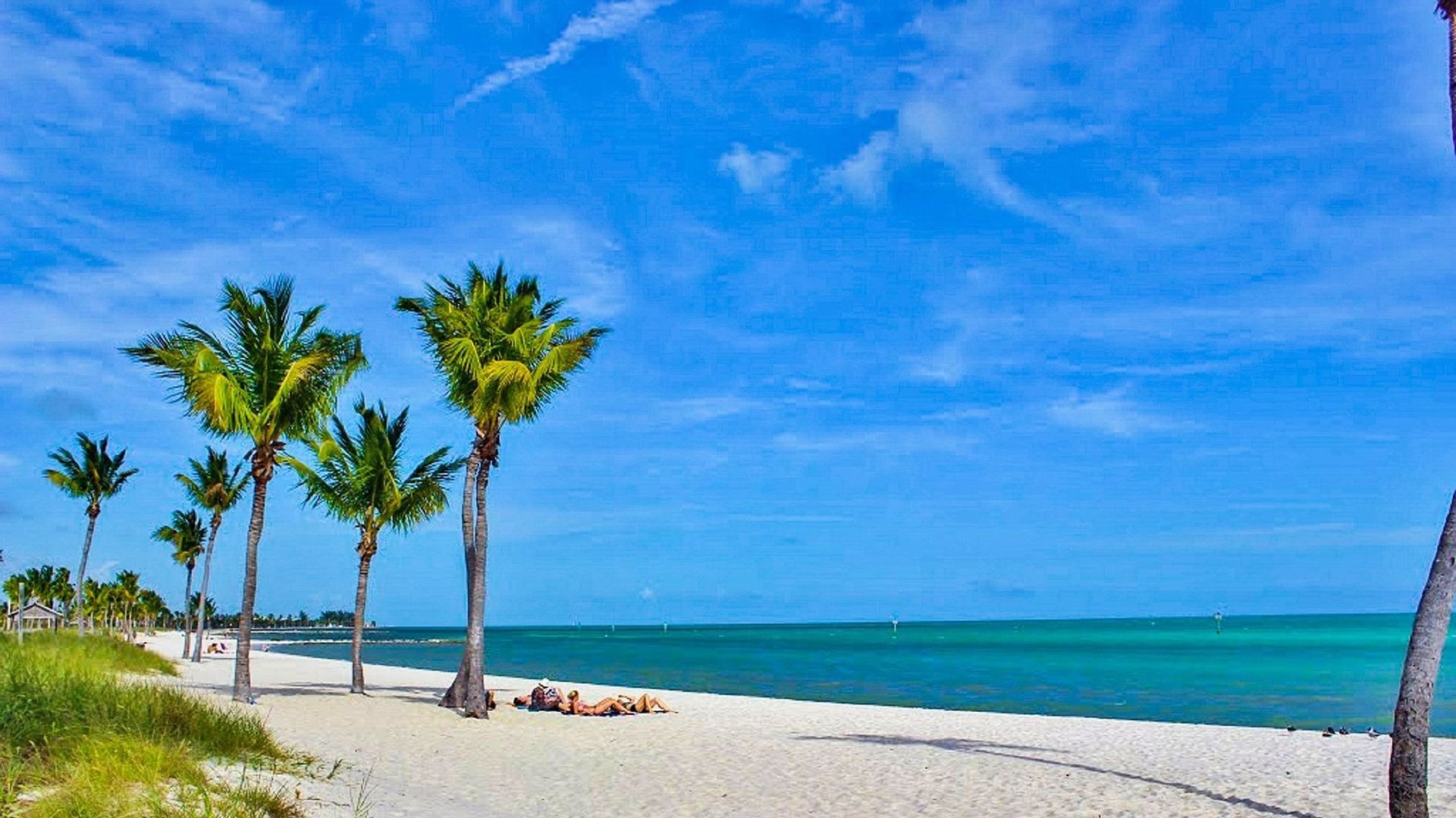 Palm trees line a white sand beach against a blue sky and turquoise ocean.