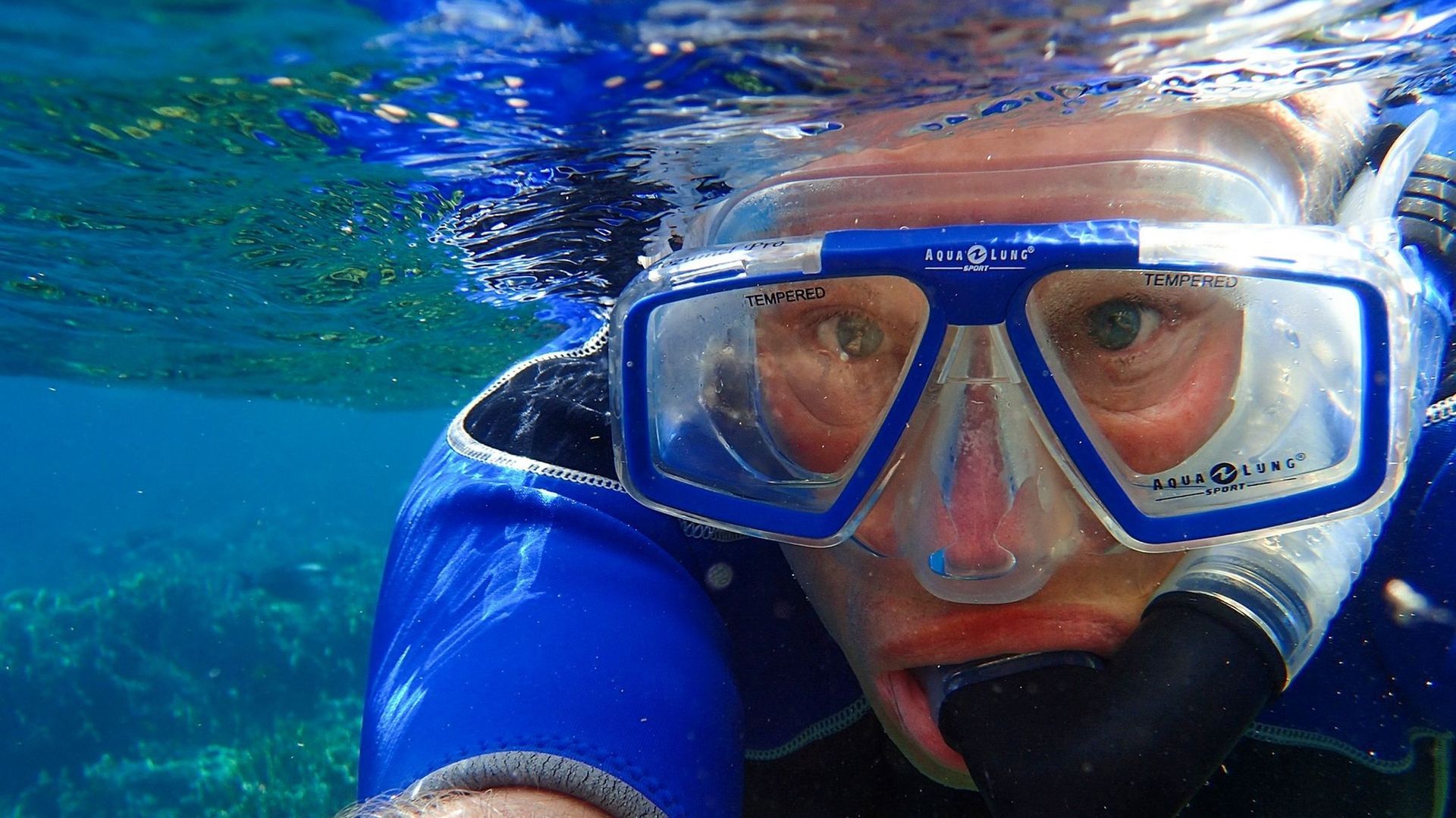 Person snorkeling underwater, wearing blue mask and wetsuit.  Smiling, looking at the camera.