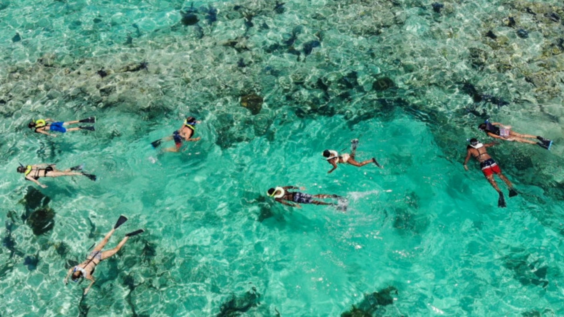 People snorkeling in turquoise water.