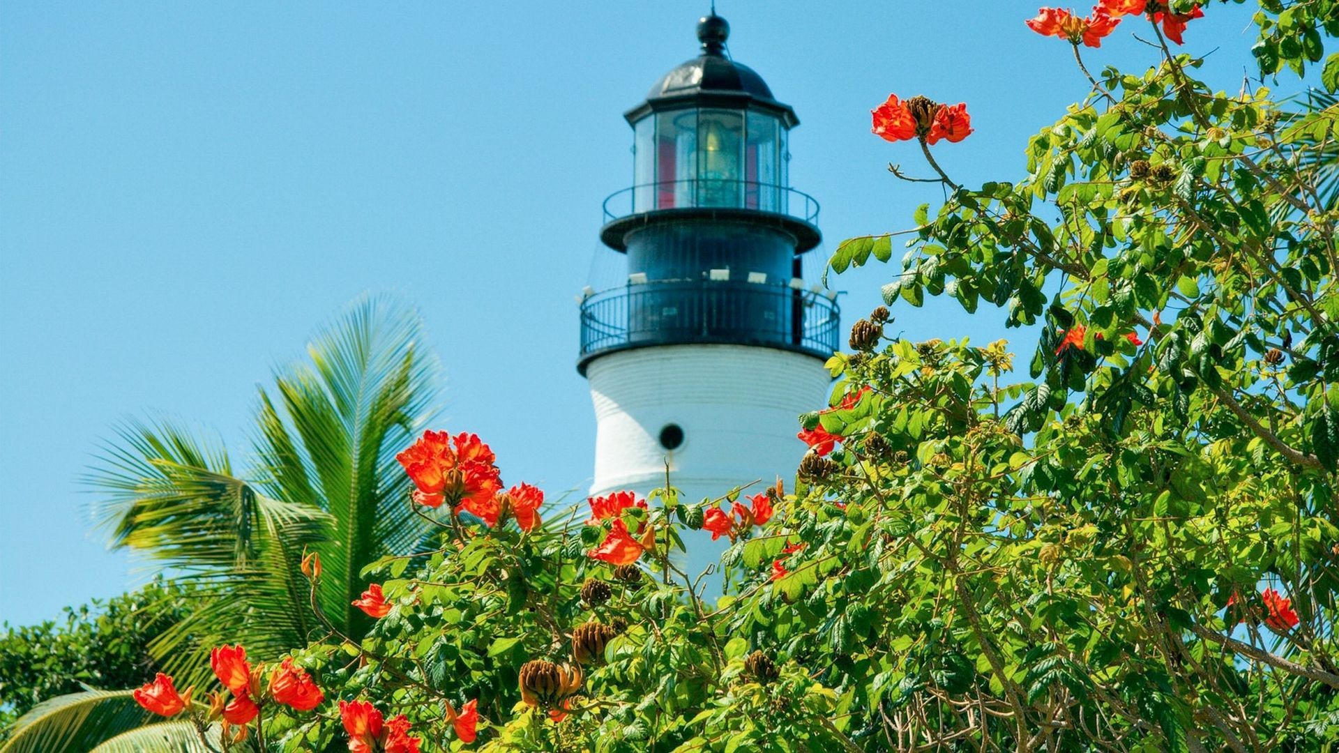 White lighthouse with black top, orange flowers, and green foliage against a blue sky.