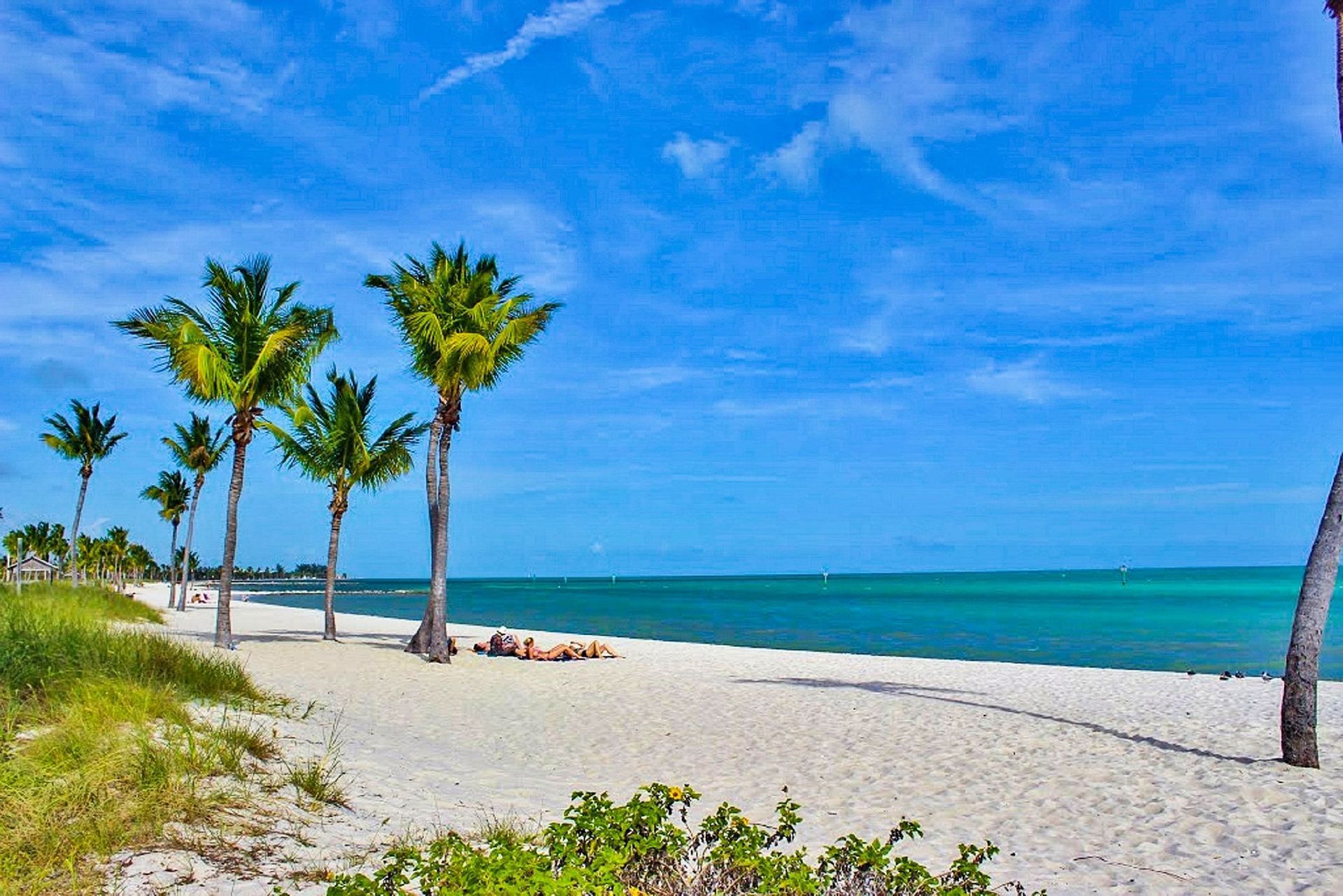 Palm trees line a white sandy beach with turquoise water under a bright blue sky.