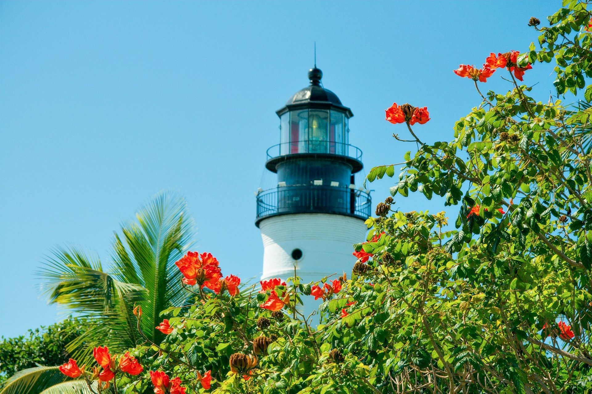 Lighthouse with black dome, surrounded by green foliage and red flowers against a blue sky.