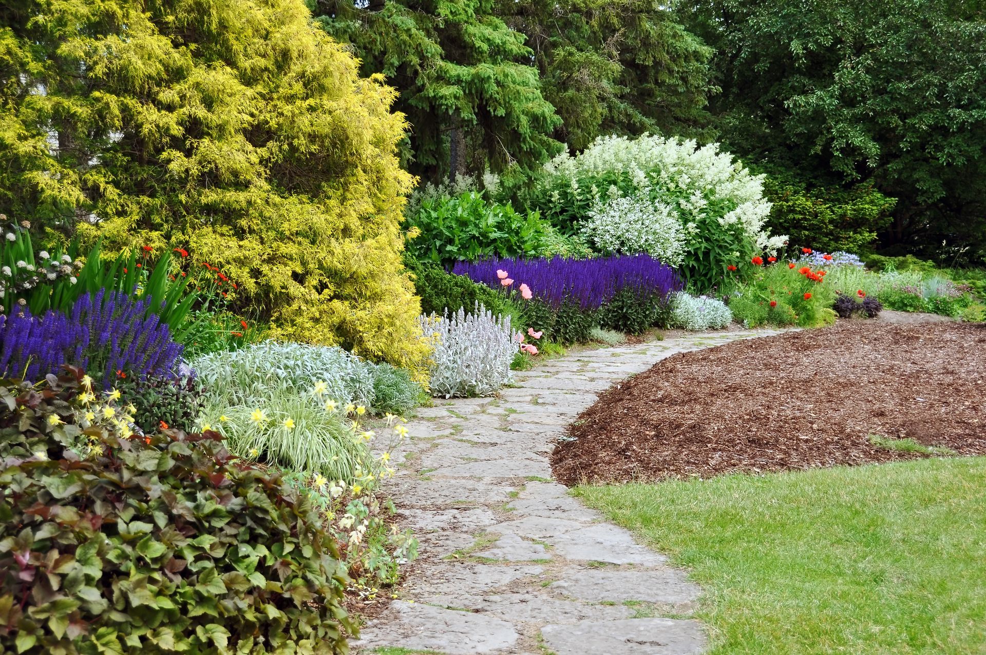 Garden With Stone Walkway