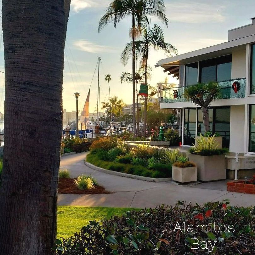 Palm trees frame a waterfront view with a white building, boats, and a pathway, bathed in warm sunlight.