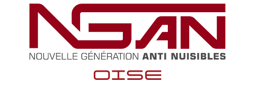 logo de l'entreprise ngan