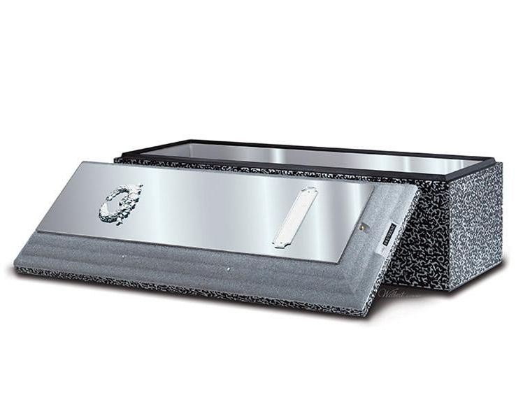 A stainless steel casket with the lid open on a white background.