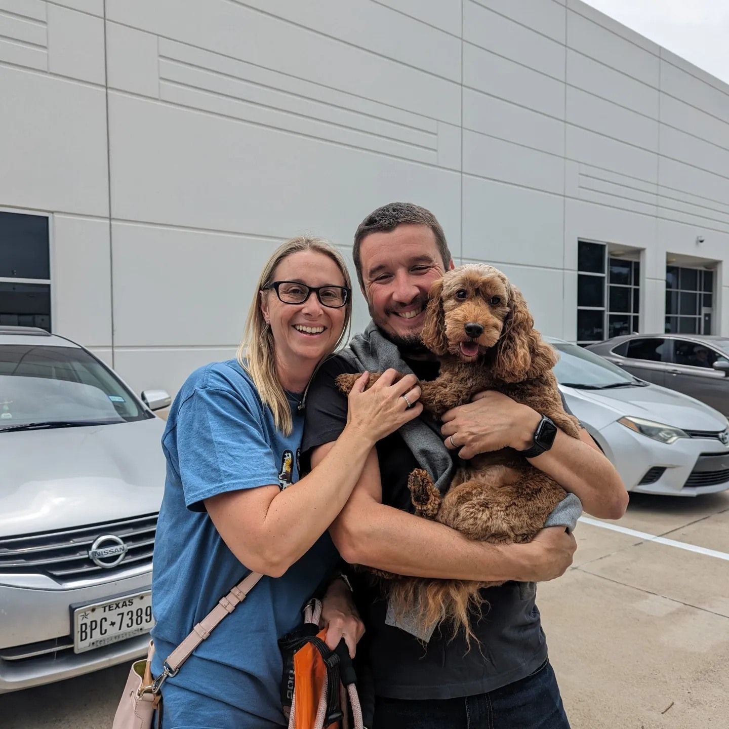 Domestic Pet Transport to Hawaii