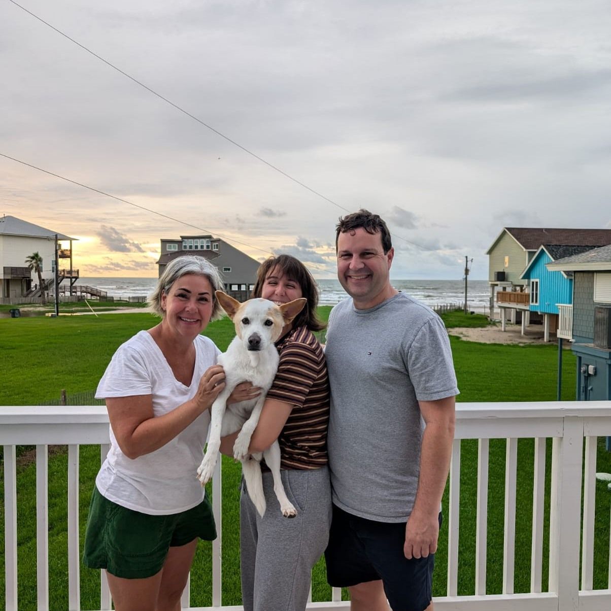 Pet Ground Transportation