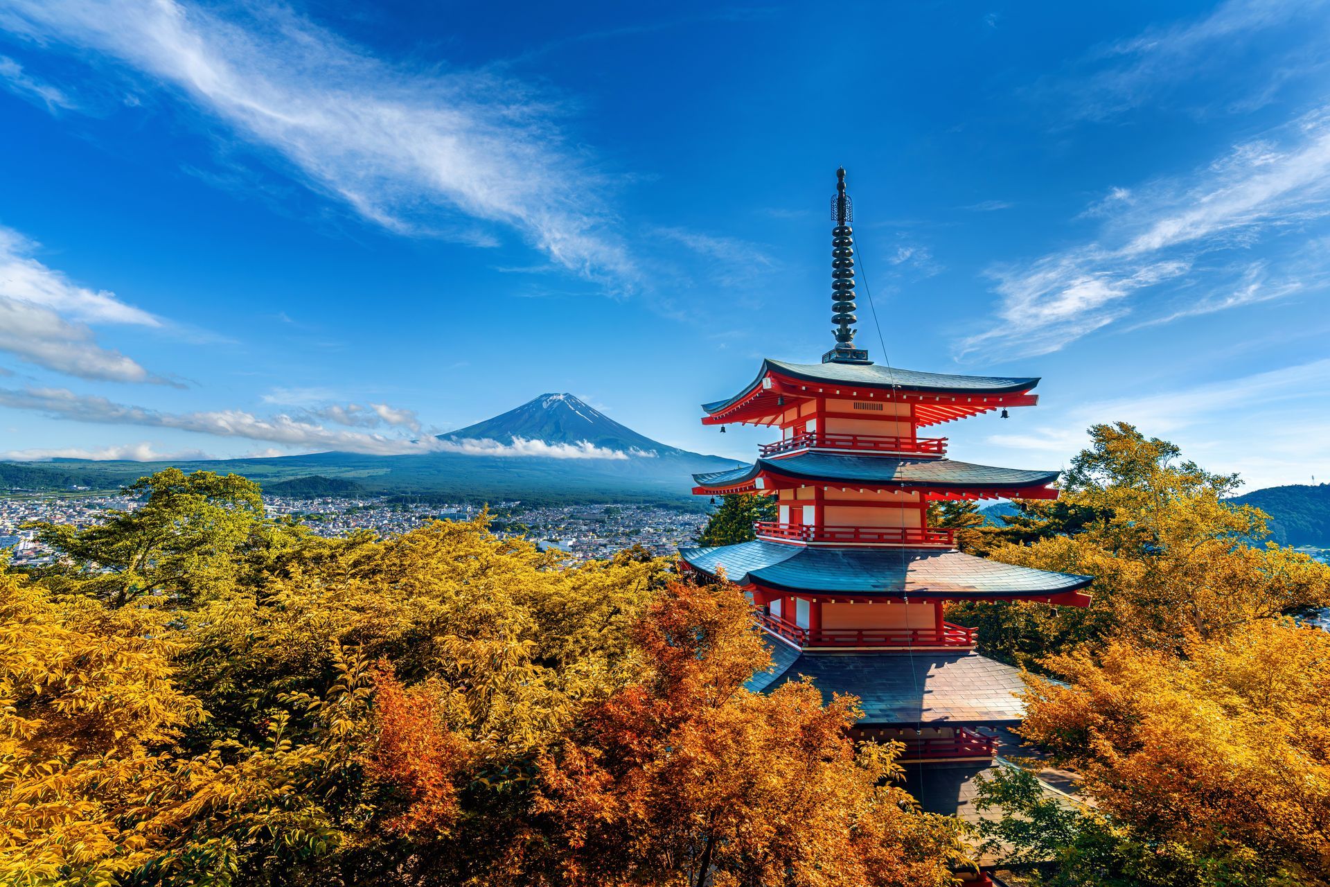 International Relocation to Japan