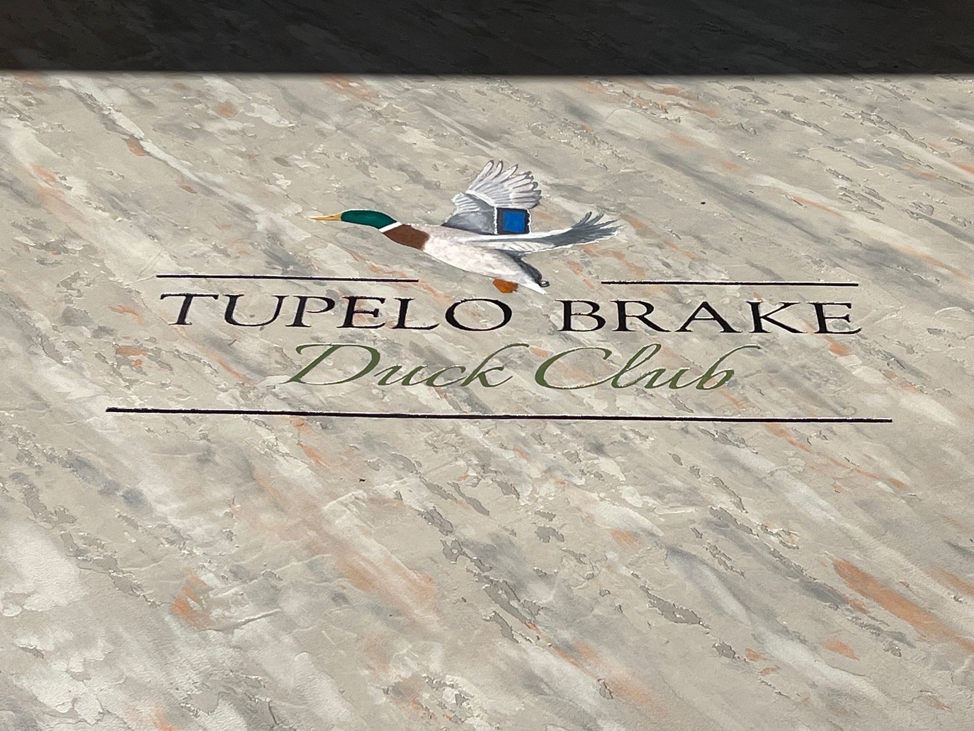 A logo for tupelo brake duck club with a duck on it