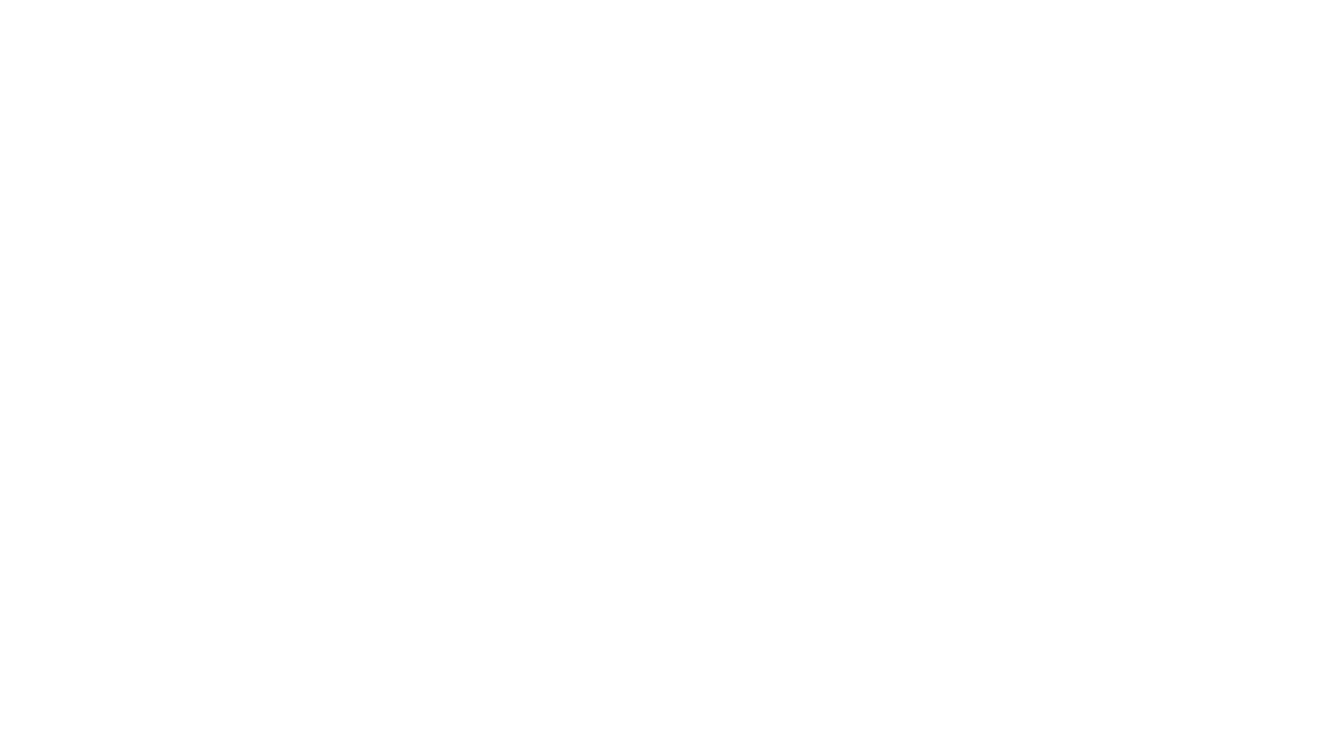 Precision Termite & Carpentry logo