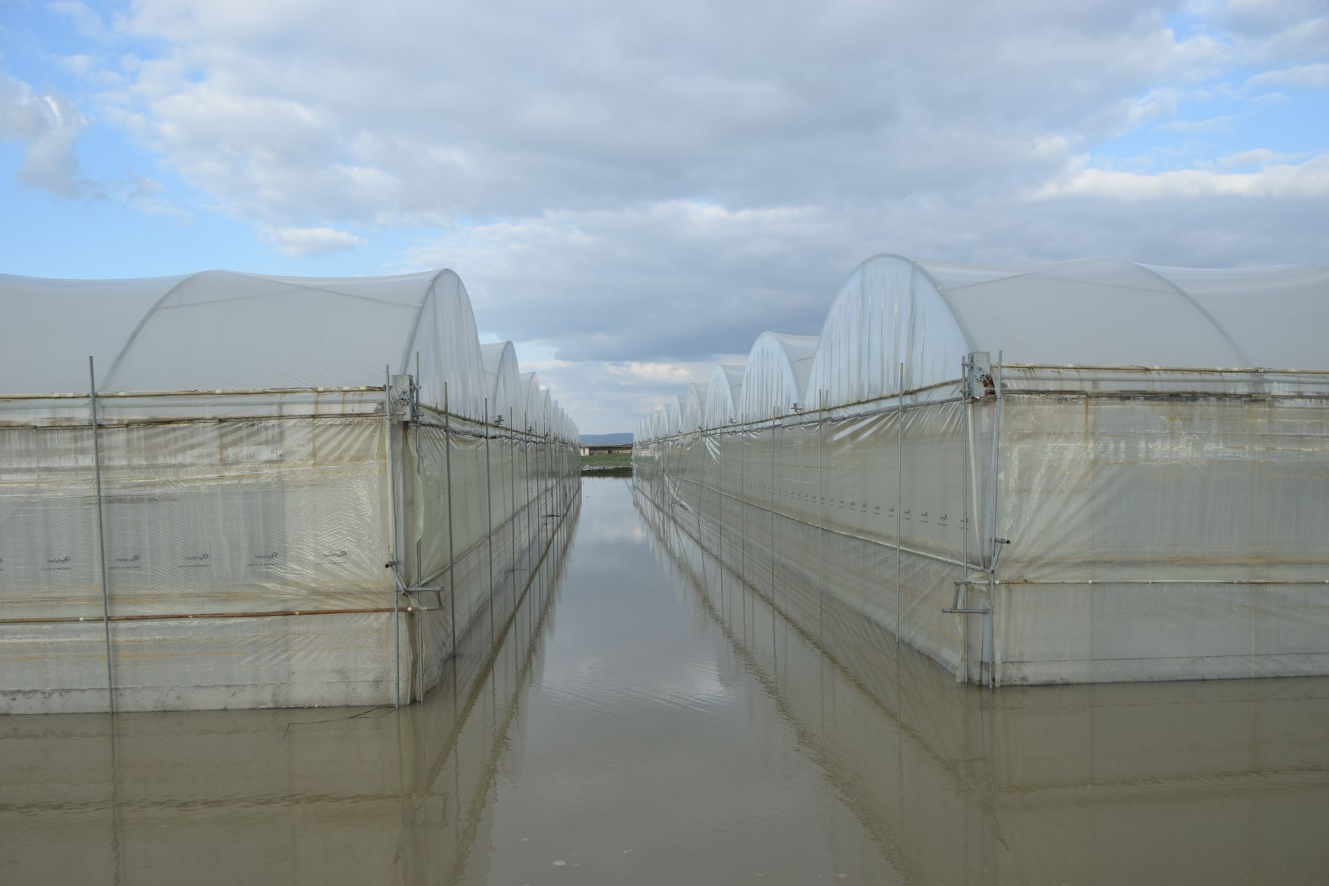 Studio agronomo - De sena