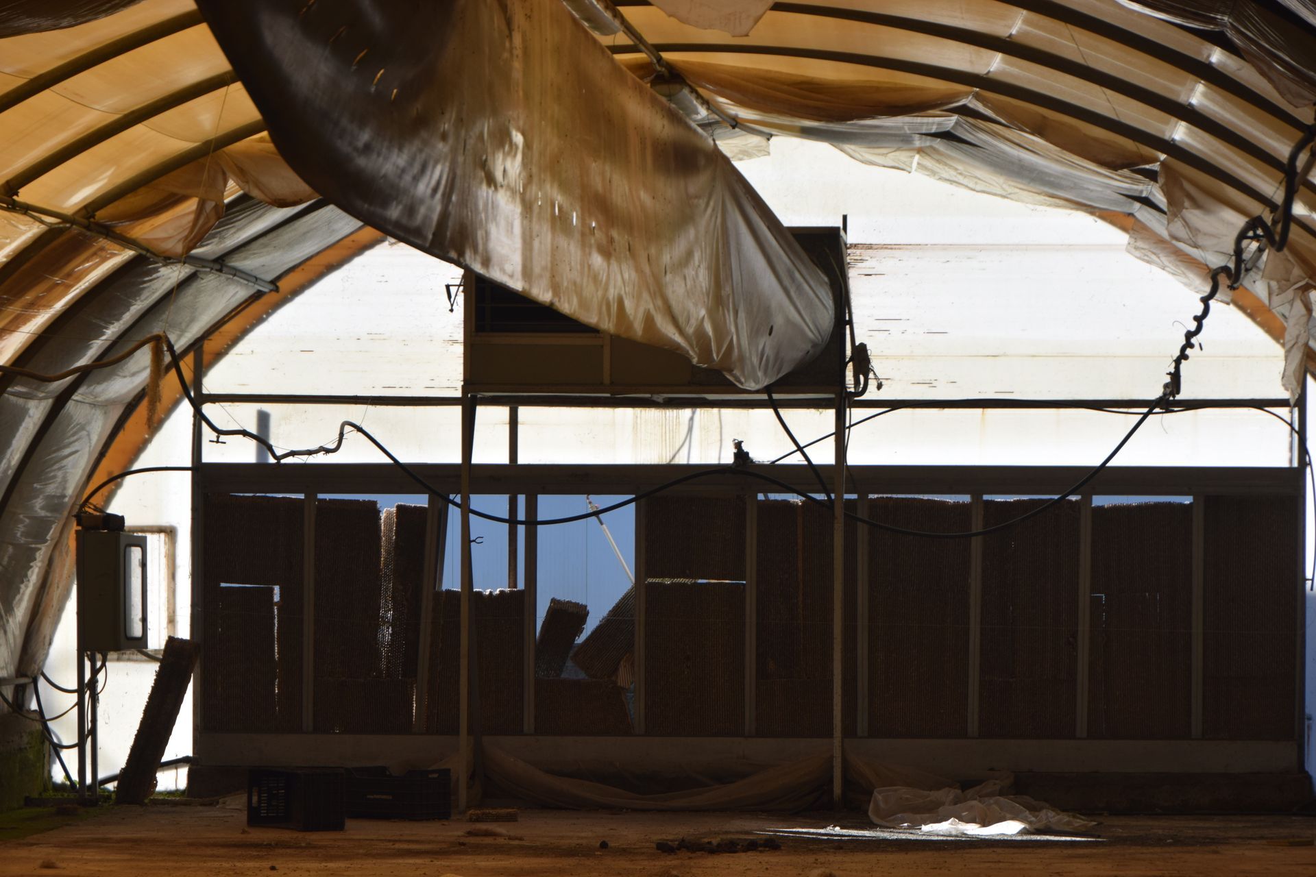 Studio agronomo - De sena