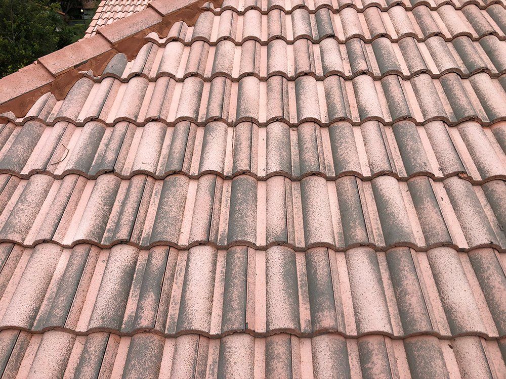 Dirty Tile Roof — Venice, FL — A-1 Roof Cleaning & Coating of Venice