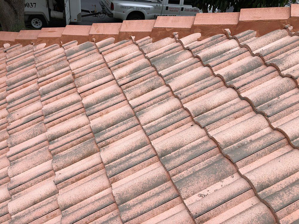 Other View of Dirty Tile Roof — Venice, FL — A-1 Roof Cleaning & Coating of Venice