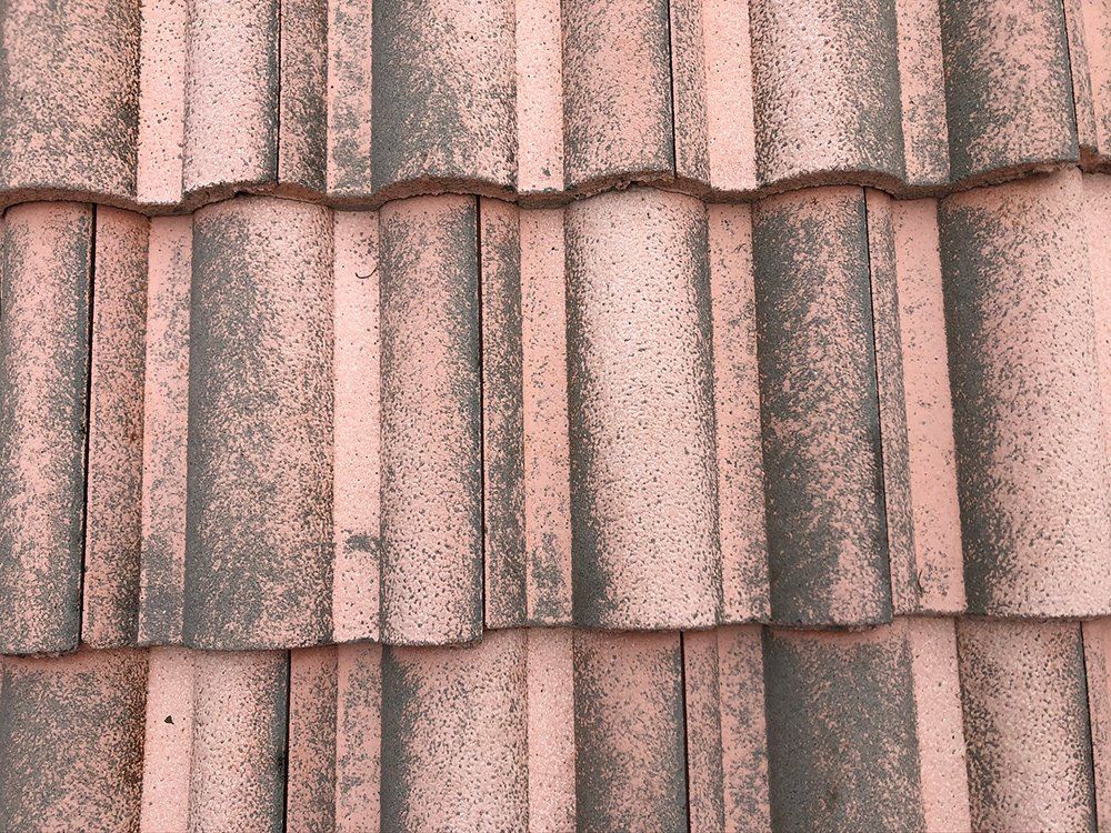 Closeup Dirty Roof Tiles — Venice, FL — A-1 Roof Cleaning & Coating of Venice