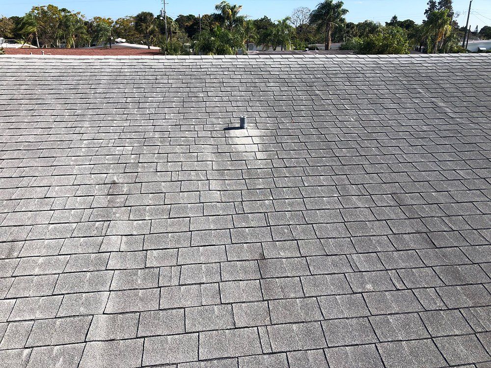 Asphalt Shingles Roof — Venice, FL — A-1 Roof Cleaning & Coating of Venice