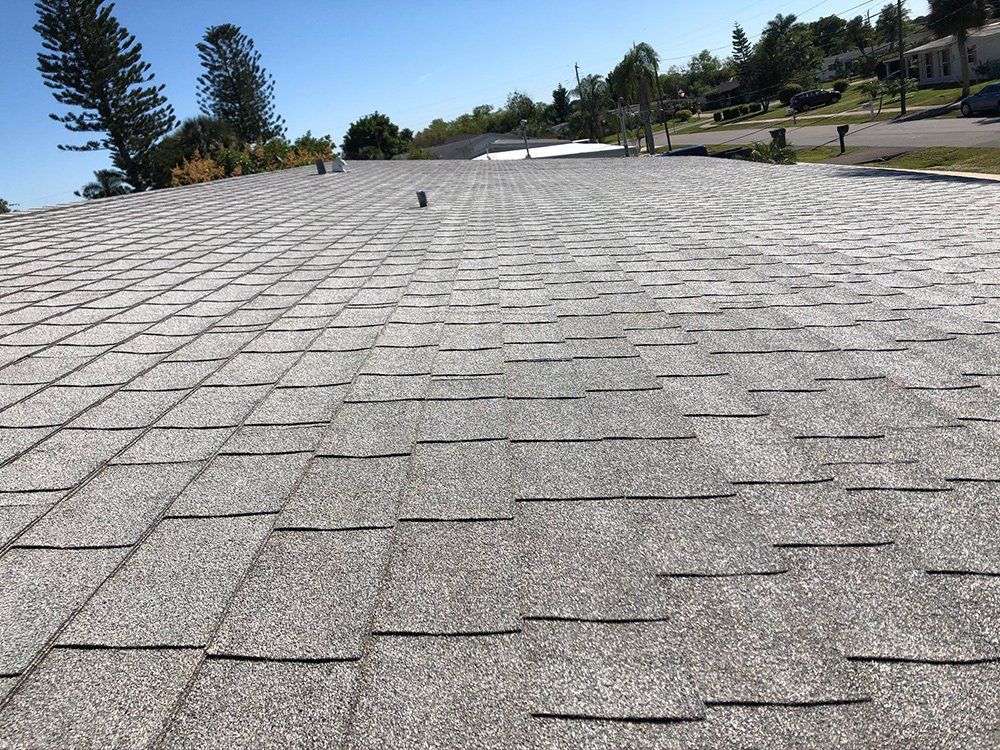 Shingles Roof with Two Chimney Pipe — Venice, FL — A-1 Roof Cleaning & Coating of Venice