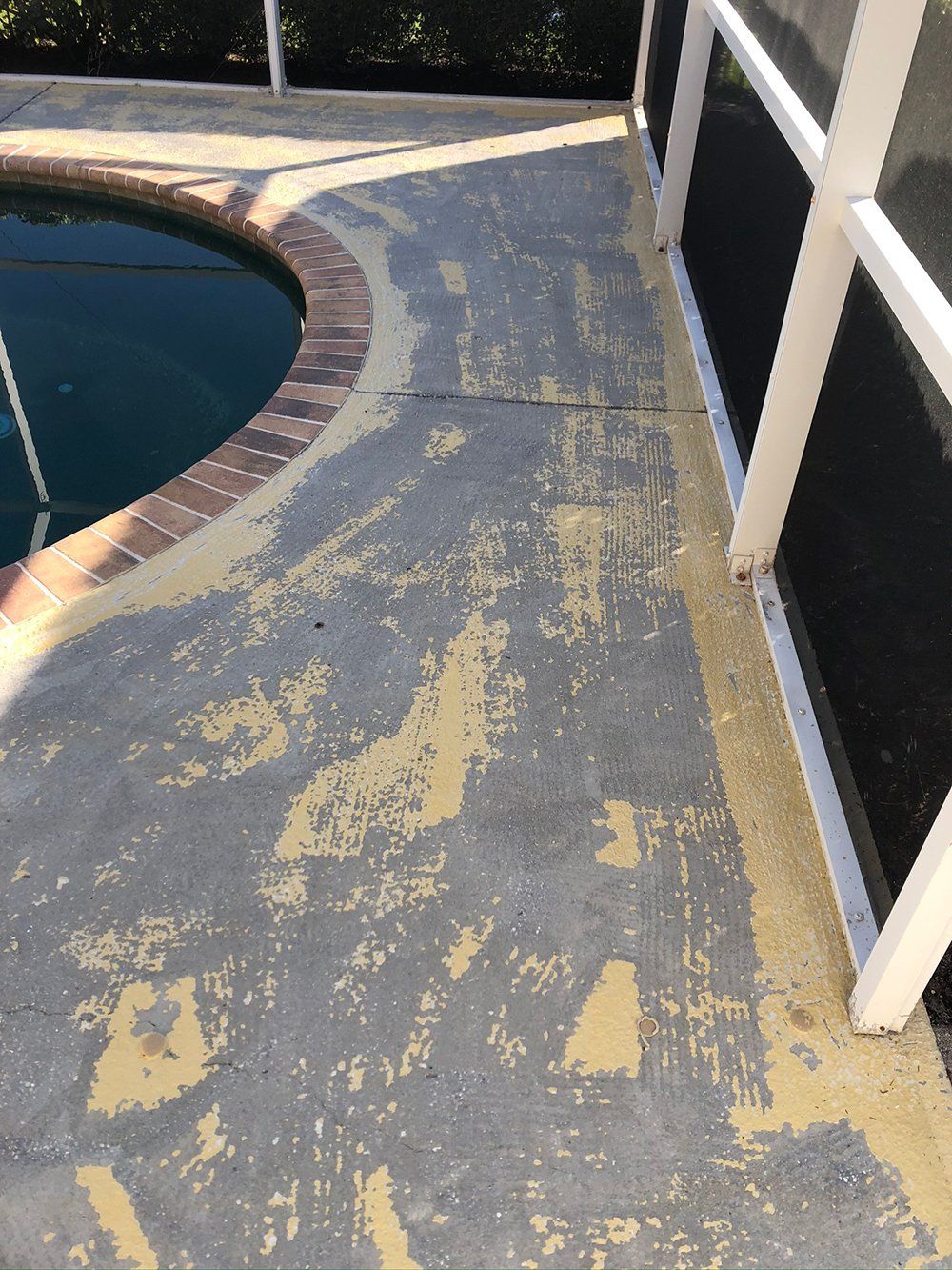 Swimming Pool Faded Concrete Floor — Venice, FL — A-1 Roof Cleaning & Coating of Venice