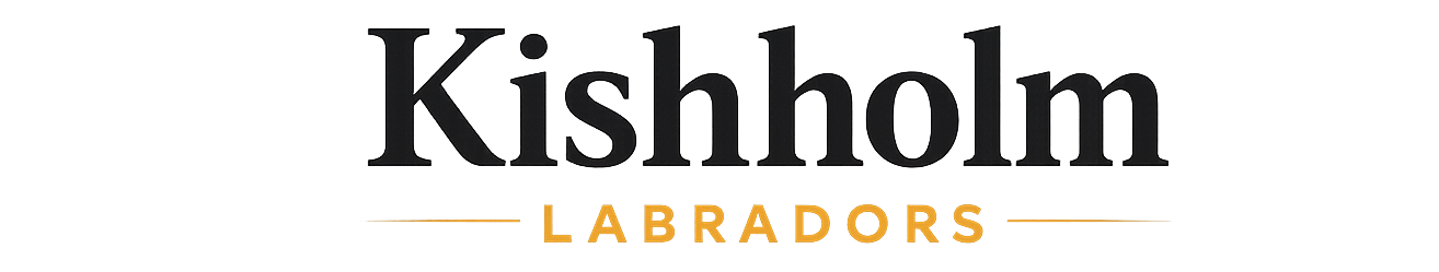 Kishholm Labradors logo with black text and small gold &ldquo;Labradors&rdquo; on a white background