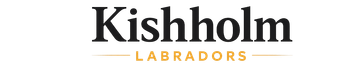 Kishholm Labradors logo with black text and small gold &ldquo;Labradors&rdquo; on a white background