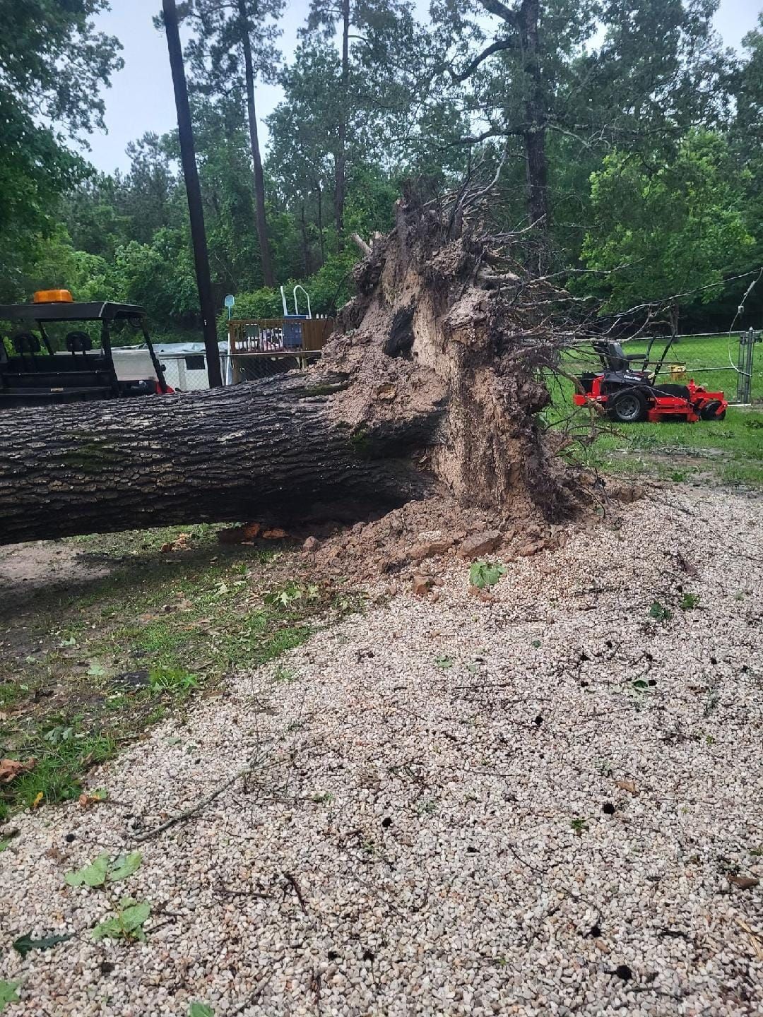 A large tree stump is laying on the ground in a yard.