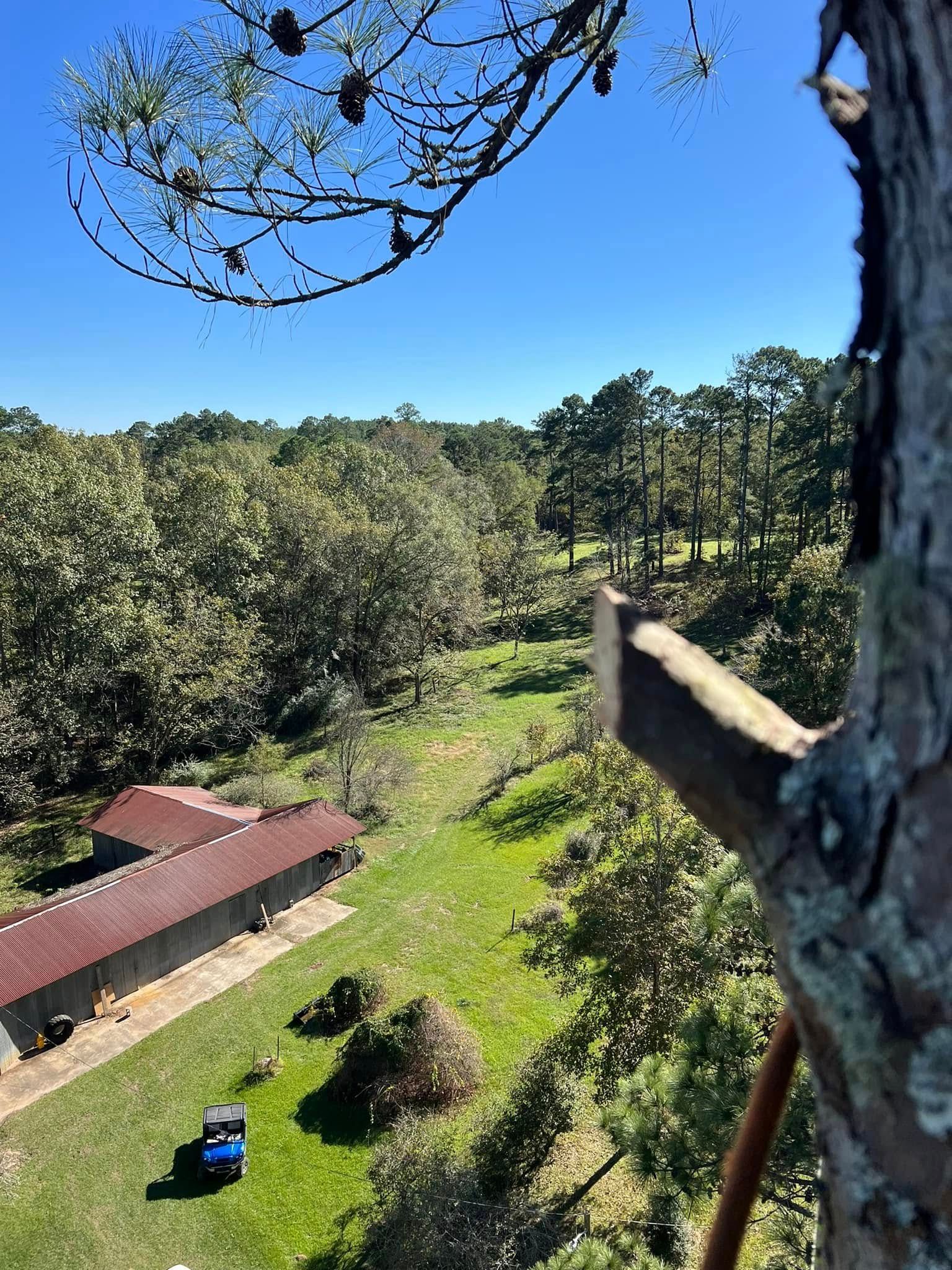 An aerial view of a house in the middle of a forest.