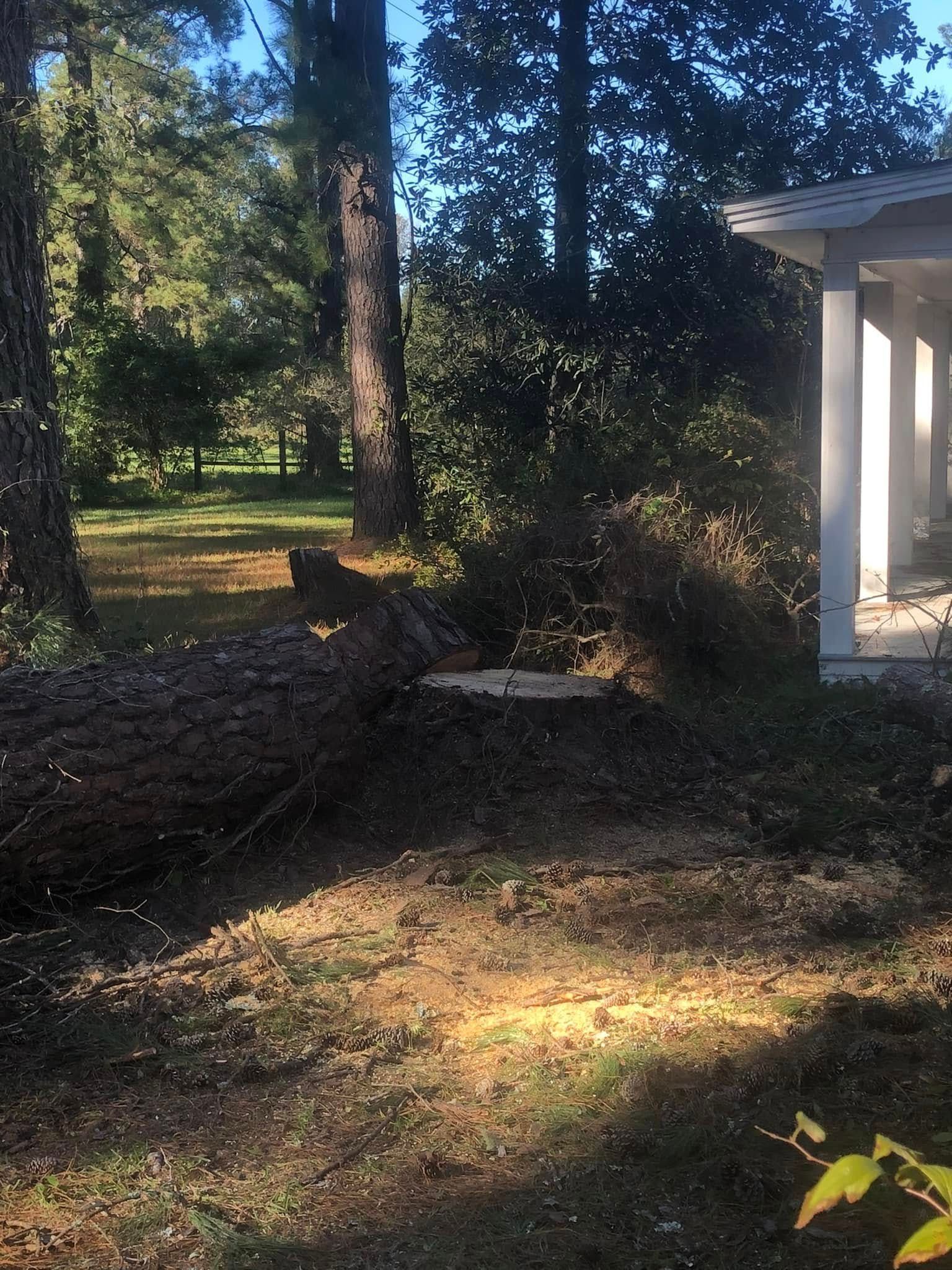A fallen tree is sitting in the middle of a yard next to a porch.