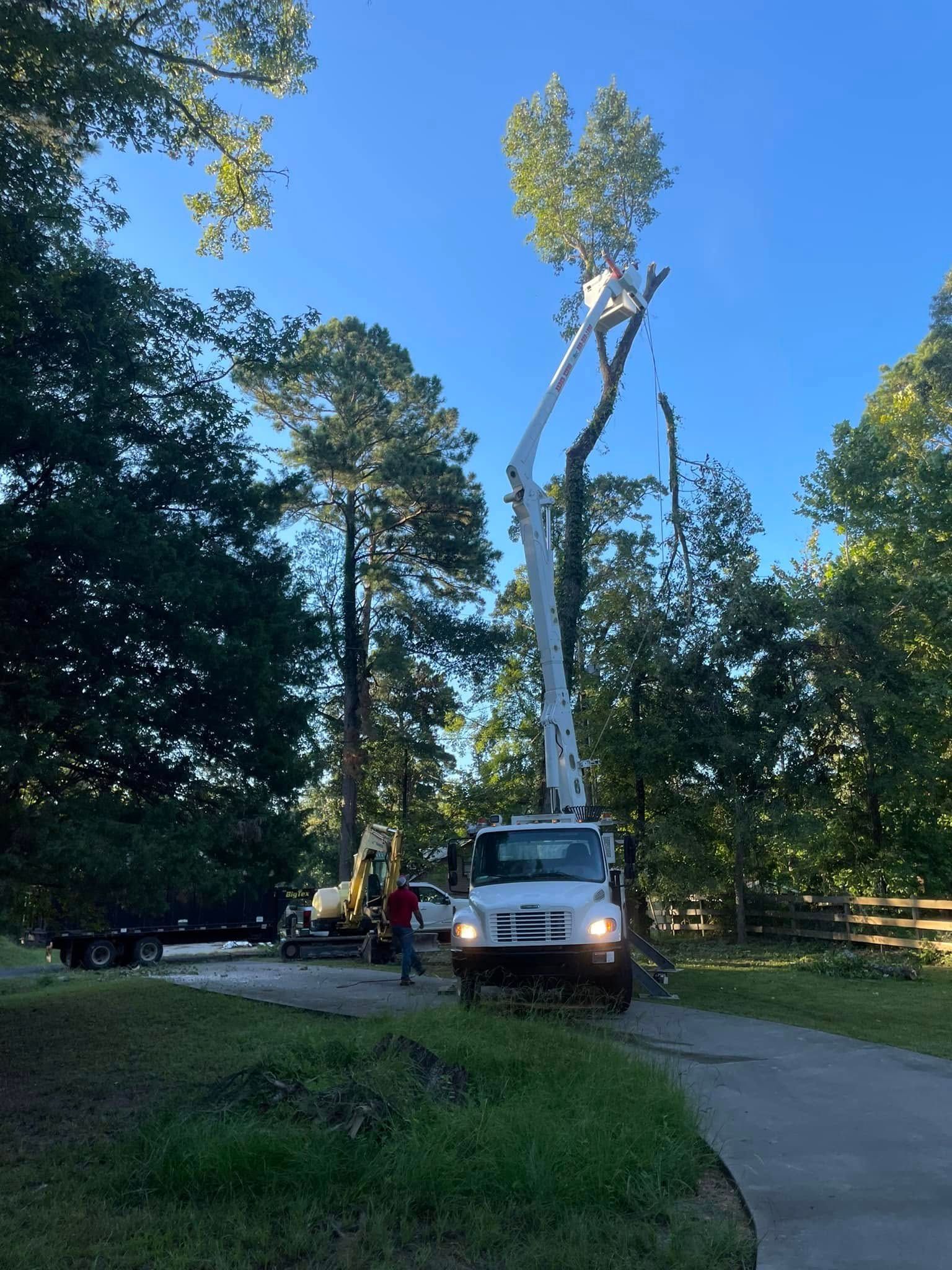 A crane is cutting down a tree in a driveway.