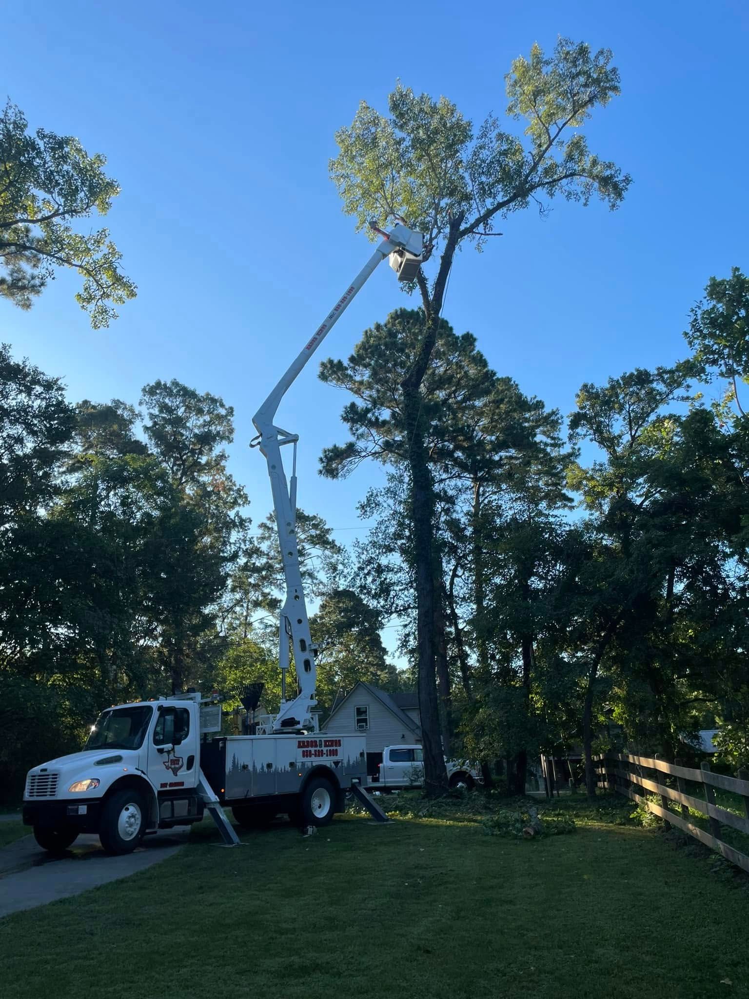 A white truck with a crane attached to it is cutting a tree.