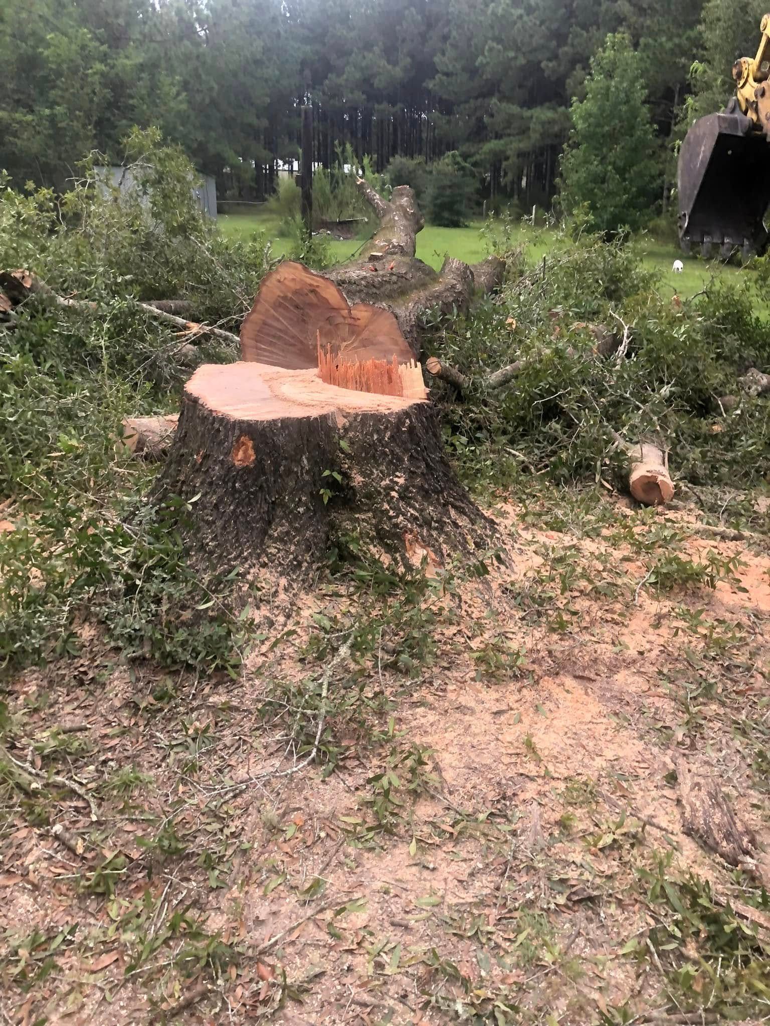 A large tree stump is sitting in the middle of a field.