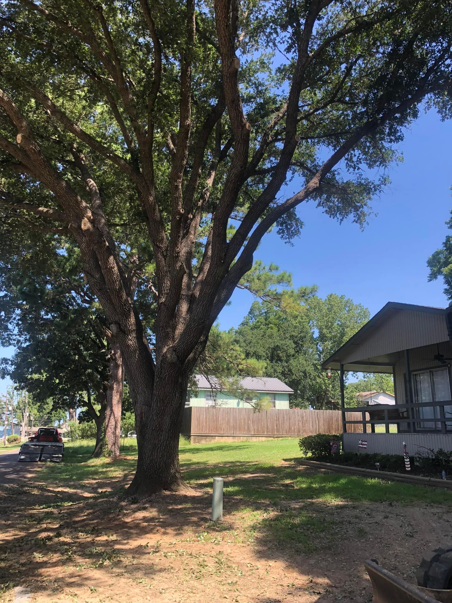 A house with a porch and a large tree in front of it.