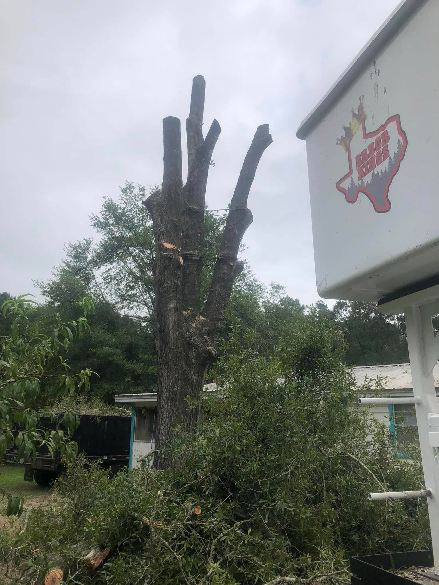 A tree is being removed by a crane in front of a house.