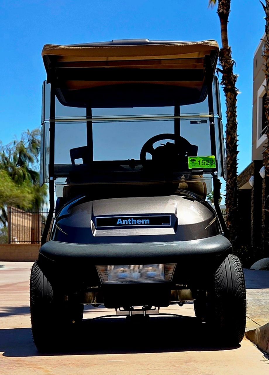 A golf cart is parked in a driveway next to a palm tree.