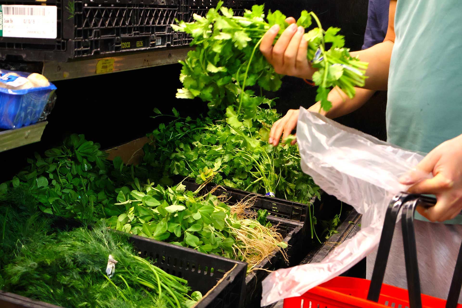 Grocery Supermarket 84