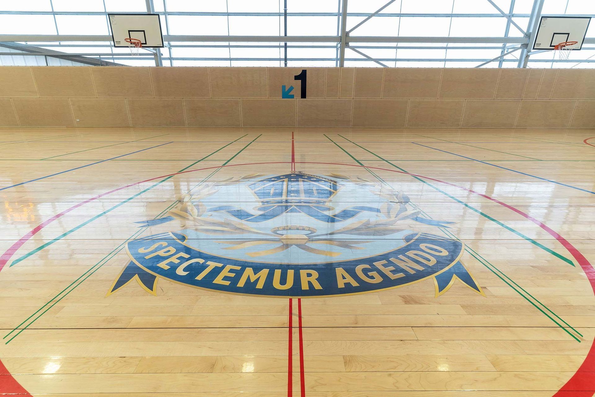 A basketball court with a logo on the floor that says pectemur agenda