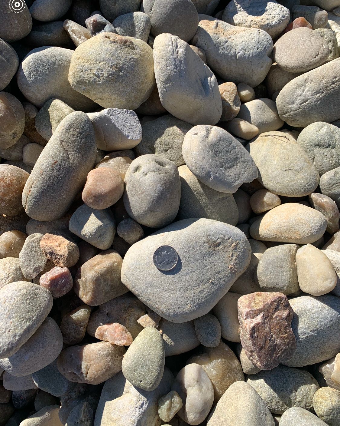 #4 White Large River Rock OBX River Rock Soundside Recycling Delivery Available