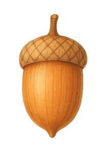 acorn