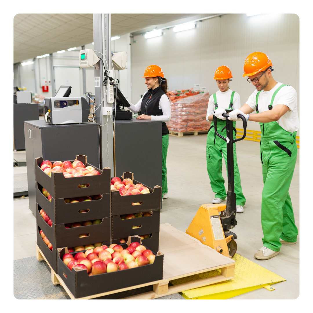 A group of people are working in a agriculture warehouse.