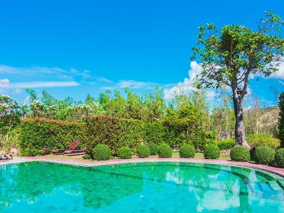 Swimming pool surrounded by green foliage under a blue sky.