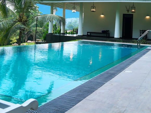 Swimming pool surrounded by green foliage under a blue sky.